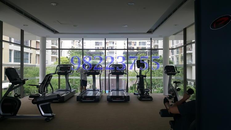 Parc Vera (D19), Condominium #154692582